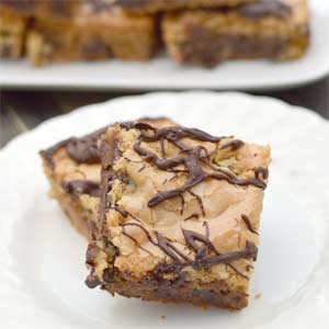Peanut Butter Chocolate Chip Brownie