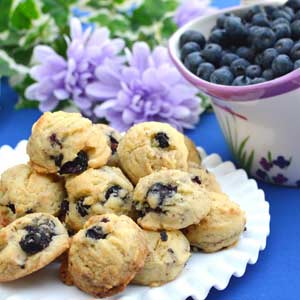 Blueberry Bites